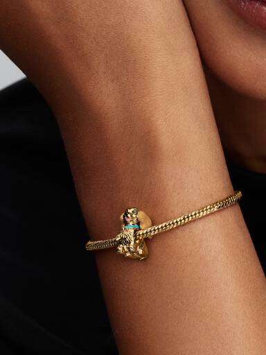 Charm Dama de Disney