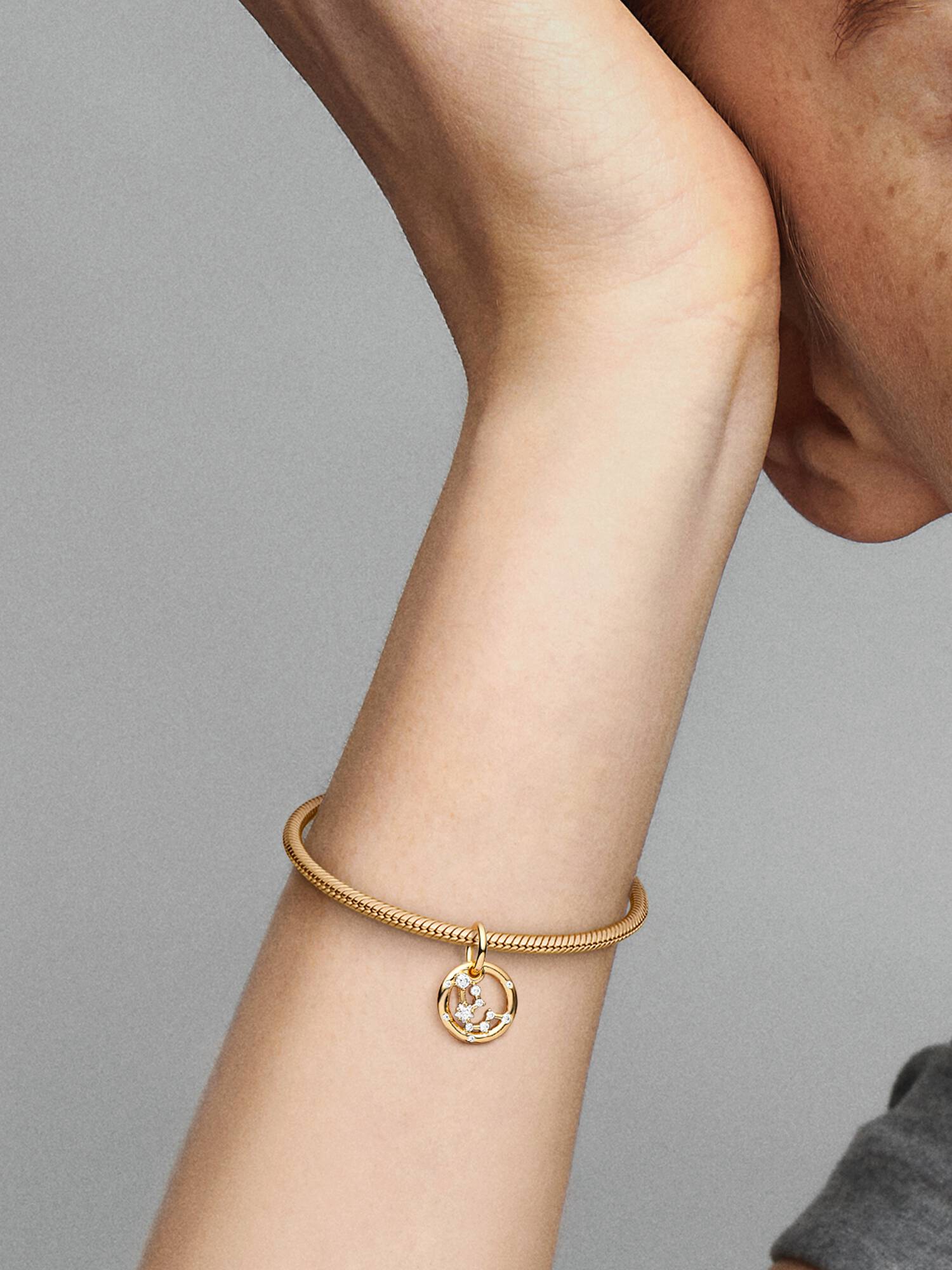 Charm colgante del signo zodiacal Acuario