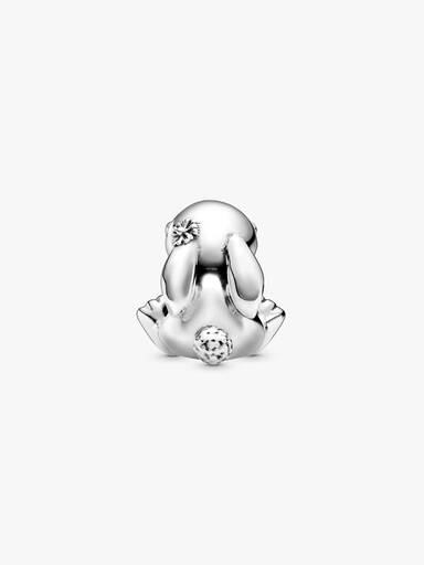 Charm de Daisy la Coneja