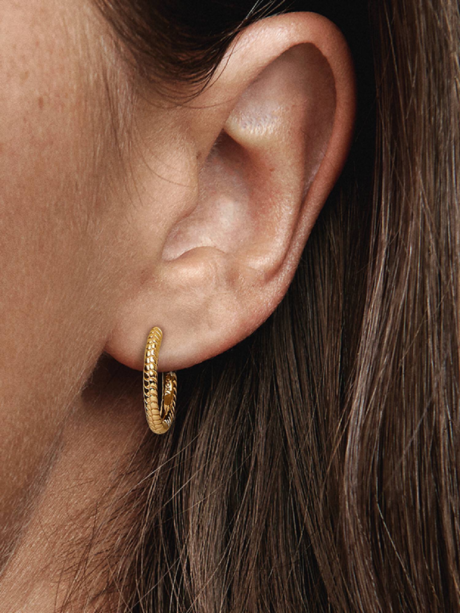 Aretes de Aro Pandora Moments para Charm Pequeños Bañado en Oro de 14k
