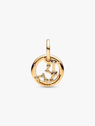Charm colgante del signo zodiacal Acuario