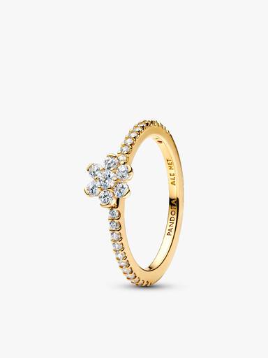 Set de Anillos Bee My Honey